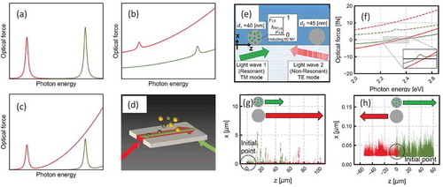 Figure 8. (a) Schematic of force spectra of nanoparticles with size-dependent resonance peaks. The incident light of a specific energy can selectively enhance interaction with the corresponding particles, and we can thus selectively transport them. (b) Schematic of force spectra of nanoparticles, with the resonant bodies embedded in the mother matrix. The optical force applied to a whole particle is determined largely by the matrix size. In this diagram, the exerted force is stronger for the particle with the spectrum represented in red, even if the photon energy is tuned to the peak of the spectrum represented in green. (c) Schematic of force spectra of the QDs of the two groups in regions of different sizes. In this case, selective manipulation of the QD group with a higher absorption edge (represented in green) is difficult because the force on the group with a lower absorption edge (represented in red) is stronger at the peak position of the former. (d) Schematic of optical manipulation with counter-propagating light waves. (e) Model of optical manipulation of nanodiamond particles with nitrogen-vacancy (NV) centers (NVND) by counter-propagating evanescent waves at the interface between glass and water. (f) Optical force spectra of NVND and pristine diamond (PD). The green and red lines represent the forces exerted on the NVND and PD, respectively. The dashed lines represent the forces with only light wave 1, and the solid lines represent the forces with counter-propagating light waves. (g) Trajectories of two particles for 5 s transport with only light wave 1. (h) Trajectories of two particles for 20 s transport with counter-propagating light waves. See Ref [Citation67] for details of the model and calculations. (Reprinted with permission from Ref [Citation67].)