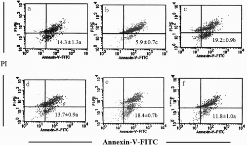 Figure 1. Apoptosis detected by flow cytometry with Annexin V-FITC conjugated with PI staining. The first and second quadrants (upper right and upper left) of PI+ cells were necrotic cells and the third quadrant (lower left) for the PI–/AV– cells are normal cells. The numbers indicate apoptotic cells (AV–/PI+, lower right quadrant) in percent of total gated cells (mean ± SD, n = 3). a, b, c, d, e, and f represent the NC, MC, H-SOG, L-SOG, H-IOG, and L-IOG groups, respectively. A representative experiment taken from three similar repeats is shown.