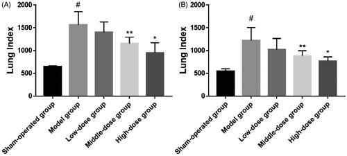 Figure 8. Lung coefficient data for all treatment groups (#p< .001; *p< .01; **p< .05).