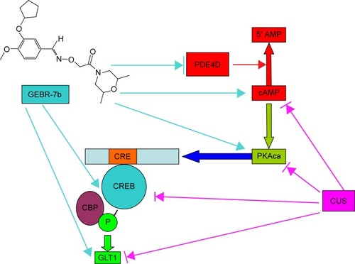 Figure 4 Diagram of signaling pathway indicating the possible mechanism by which GEBR-7b reversed CUS-induced depression-like behaviors in rats.