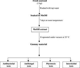 Figure 1 Scheme for algal extraction.