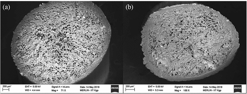 Figure 8. Cross-Section of RA fiber (a) untreated (b) alkali-treated.