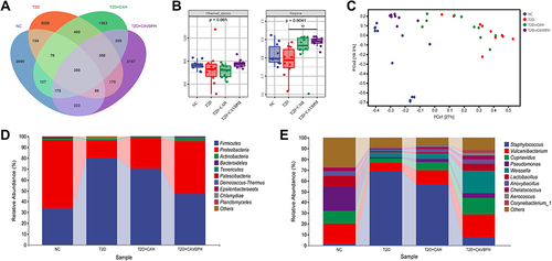 Figure 9 16S rRNA sequencing of skin flora in mice. (A) Venn diagrams of operational taxonomic units (OTUs) in the NC, T2D, CAH (T2D+CAH), and CAVBPH (T2D+CAVBPH) groups. (B) α-diversity analysis. (C) β-diversity analysis. (D) Relative abundance of community at the phylum level. (E) Percent of community abundance at the genus level. **p < 0.01.