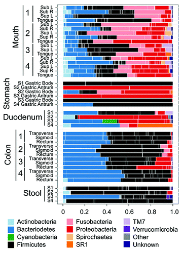 Figure 3. Human microbiota composition in multiple sites of the GI tract, including mouth, stomach, duodenum, colon and stool. Note the high variability between individuals and between the antrum and corpus in the stomach. The stomach microbiota also differs significantly from other sites in the GI tract. Reproduced with permission from Stearns et al. 2011.Citation96