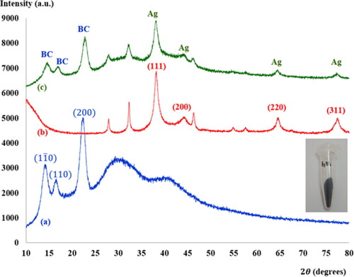 Figure 4. XRD pattern of (a) freeze-dried BC (b) synthesized AgNPs powders and (c) the BC-AgNP nanocomposites with AgNPs at 0.2%w/v. The Bragg reflection planes of the respective crystallites are shown.