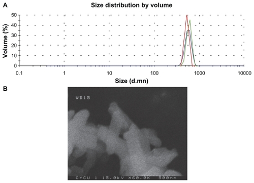 Figure 1 Size and shape of the nanoscale SHXXT decoction. A) Zeta sizer picture of nanoscale SHXXT showing size distribution in Milli-Q water. B) Field emission scanning electron microscopy picture of nanoscale SHXXT on a solid substrate.Abbreviation: SHXXT, San-Huang-Xie-Xin-Tang.