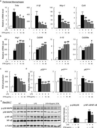 Figure 4. Swertiamarin directly suppresses inflammation in macrophages. (a) mRNA expression of lipopolysaccharide (LPS)-induced M1 markers in peritoneal macrophages. (b) mRNA expression of IL-4-induced M2 markers in peritoneal macrophages. (c) Reactive oxygen species (ROS) production in LPS-treated peritoneal macrophages. (d) mRNA expression of NADPH oxidase subunit genes in LPS-treated peritoneal macrophages. (e) Immunoblot op-p38MAPK, p-ERK, and p-NF-κB in LPS-treated Raw264.7 macrophages. n = 5–6. *p < 0.05; **p < 0.01, vs. non-treatment (NT). #p < 0.05; ##p < 0.01, vs. LPS- or IL4-treated cells