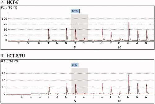 Figure 2. Methylation level of NME2 analysed using a methylation chip and confirmed by pyrosequencing. A pyrosequencing analysis was performed for NME2, which exhibited differential methylation between HCT-8 and HCT-8/FU.