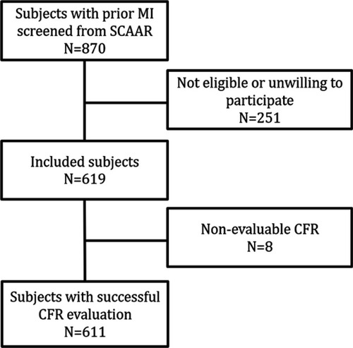 Figure 1 Flow-chart for the inclusion of patients.