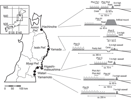 Figure 1. Location of the study sites and overview cross-section of each study plot