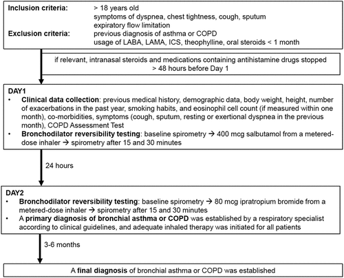 Figure 1. A flowchart of the study design.