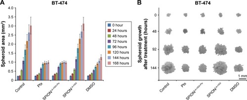 Figure 4 Effects of SPIONLA-HSA-Ptx and Ptx on three-dimensional cell clusters.Notes: (A, B) BT-474, (C, D) MCF-7, (E, F) MDA-MB-231, and (G, H) T-47D spheroids were treated with 36 nM free Ptx or particle-bound Ptx (SPIONLA-HSA-Ptx). In addition, a SPIONLA-HSA carrier control, a SPION- and Ptx-free negative control, and positive toxicity control containing 2% DMSO were utilized. The first column displays the projected two-dimensional area during the treatment. The second column shows representative pictures of the spheroids during the first 144 hours after treatment.Abbreviations: DMSO, dimethyl sulfoxide; Ptx, paclitaxel; SPION, superparamagnetic iron oxide nanoparticles; SPIONLA-HSA, lauric acid- and human serum albumin-coated SPIONs; SPIONLA-HSA-Ptx, SPIONLA-HSA functionalized with Ptx.