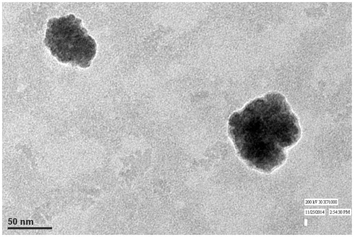 Figure 3. Transmission electron micrograph of tropicamide-loaded cubic nanoparticles.