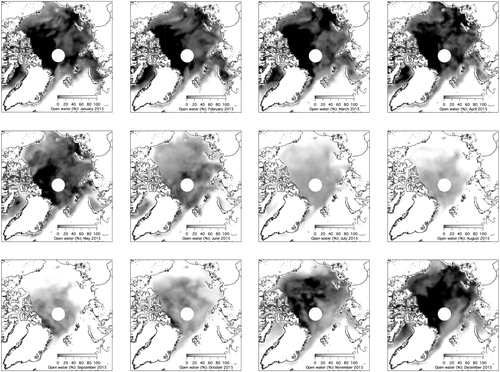 Fig. 7. Maps of average monthly open water of the Arctic Ocean, from January to December 2015. Grey colour scale: 0% open water (white), 100%: fully ice covered (black). The white circle indicates the data void near the pole that is caused by the satellite orbits.