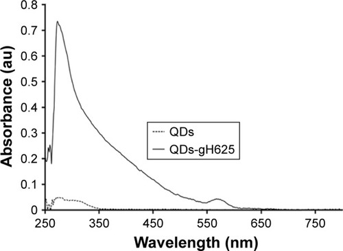 Figure 1 UV/Vis spectra of gH625-QDs and QDs alone.Abbreviations: QDs, quantum dots; UV/Vis, ultraviolet/visible.