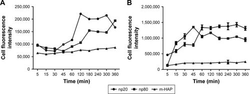 Figure 5 Kinetics of HAPs’ adhesion and uptake.Notes: Kinetics of adhesion of HAPs onto HUVECs (A). Kinetics of uptake of HAPs by HUVECs (B).Abbreviations: HAP, hydroxyapatite; HUVECs, human umbilical vein endothelial cells; m-HAP, micro-sized HAP particles.