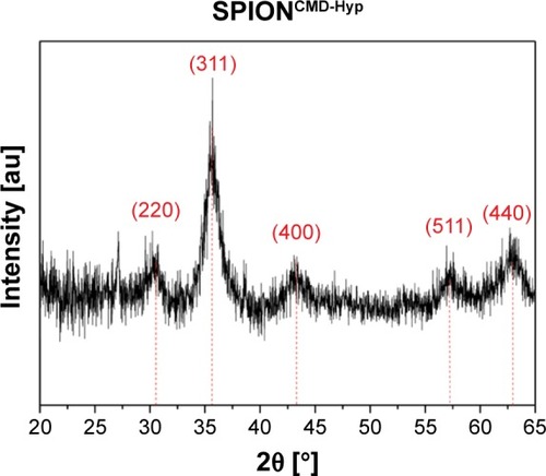 Figure 6 XRD pattern of SPIONCMD-Hyp exhibits typical peaks for the spinel structure of magnetite.Note: The high noise is typical for nanocrystallites.Abbreviations: XRD, X-ray diffraction; SPIONCMD, functionalized dextran-coated SPIONs; SPION, superparamagnetic iron oxide nanoparticle; SPIONCMD-Hyp, hypericin linked to SPIONCMD.