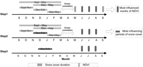 Figure 2. Illustration of lag effect analyse between snow cover duration and NDVI.