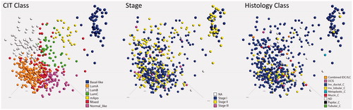 Figure 2. Principal component analysis of subtypes, stages and histopathological diagnosis. (A) A principal component analysis (PCA) showing the distribution of 520 breast cancer samples according to six molecular subtypes based on the expression profiles of the 375 probe sets. The subclasses cluster was assigned as separate entities with the samples classified as mixed located in the areas between the core clusters. The basal-like subtype, representing the double negative breast cancer samples, forms its own distinct cluster. (B) The distribution of patient stage from I–III in the spectra of subclasses clearly illustrates that assigned subclass is not dependent on patient stage. (C) The scattering of the assigned WHO histopathological diagnosis in the allocated molecular subclasses demonstrates that there is no association between molecular subgroup and histopathological diagnosis.