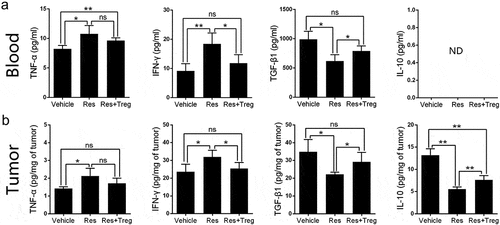 Figure 6. Resveratrol treatment alters the level of cytokines in the tumor-bearing mice. Cytokine levels of TNF-α, IFN-γ, TGF-β1 and IL-10 in blood (a) or tumors (b) of tumor-bearing mice at the end of treatment (day 21) were measured by ELISA. Some mice received 1 × 106 CD8+CD122+ Tregs on day 3. Data are shown as mean ± SD (ns, nonsignificant; ND, not detectable; n = 4 mice/group; two-tailed t-test: *p < 0.05 and **p < 0.01). One of three separate experiments is shown