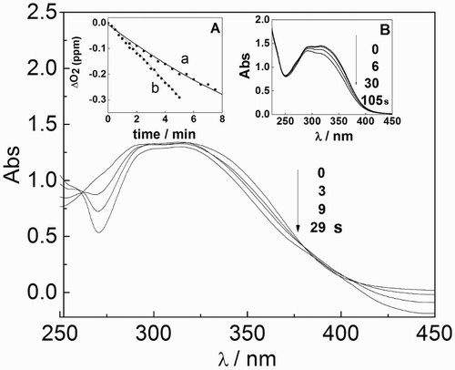 Figure 2 Changes in the UV-Vis absorption spectrum of MeOH-H2O (1:1; v/v) solutions containing Rf (A446 = 0.4) and 57 μg/ml ProAV vs. A446 = 0.4 upon irradiation with visible light. Inset (A) oxygen consumption vs. photoirradiation time for MeOH-H2O (1:1; v/v) solutions containing Rf (A446 = 0.40) plus (a) 38 μg/ml ProAV and (b) 38 μg/ml Trolox. Inset (B) changes in the UV-Vis absorption spectrum in a MeOH solution of RB (A630 = 0.4) and 64 μg/ml ProAV vs. RB (A630 = 0.4) upon irradiation with visible light. In all cases, a cutoff at 430 nm was used.
