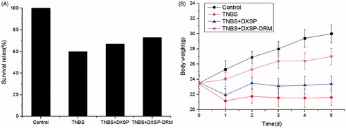 Figure 7. (A) The influence of DXSP and DXSP-DRM on the survival rate of mouse. (B) The influence of DXSP and DXSP-DRM on the body weight changes of mouse (data are shown as mean ± SD, n = 15). Control, control group; TNBS, TNBS group; DXSP, DXSP p.o. group; DXSP-DRM, DXSP-DRM p.o. group.