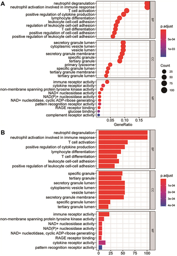 Figure 4 Gene Ontology (GO) enrichment analysis of differentially expressed genes (DEGs). (A) The enrichment results of biological process, cellular component, and molecular function in the GO analysis are shown in the form of bubble graphs. The closer the colour is to red, the smaller the P is. The larger the bubble is, the more enriched DEGs are in the pathway. (B) The biological process, cellular component, and molecular function enrichment results of the GO analysis are shown as a bar graph. The closer the colour is to red, the smaller the P is. The horizontal axis represents the number of enriched genes in the pathway.