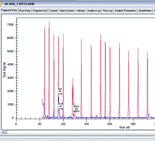 Figure 2. Gene expression levels of β-xylosidase and glucose-6-phosphate dehydrogenase in Lactobacillus plantarum.