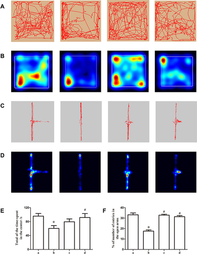 Figure 5 Behavioristic changes of mice in each group. (A) Representative trajectory diagram of each group in open field test. (B) Representative heat maps of the movement of each group in open field test. (C) Representative trajectory diagram of each group in elevated plus maze. (D) Representative heat maps of the movement of each group in elevated plus maze. (E) Total time spent in the central zone of open field. (F) Percentage of number of entries in the open arms. (a) blank control group; (b) repeated restraint stress (RRS) model group; (c) Wendan Decoction group; (d) paroxetine group. *P < 0.05, compared with blank control group; #P < 0.05, compared with RRS model group.