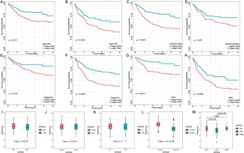 Figure 6. Connection between the FRG signature and other clinical characteristics in the training cohort. OS status for the two groups (high risk vs. low risk) assigned by age (A and B), gender (C and D), clinical stage (E and F), and germinal center B-cell subtype (G and H). Comparison of the risk score in DLBCL patients stratified by different age (I), gender (J), stage (K), and molecular subtypes (L) and the germinal center B-cell subtype (M). Red is the high-risk group, and blue is the low-risk group.