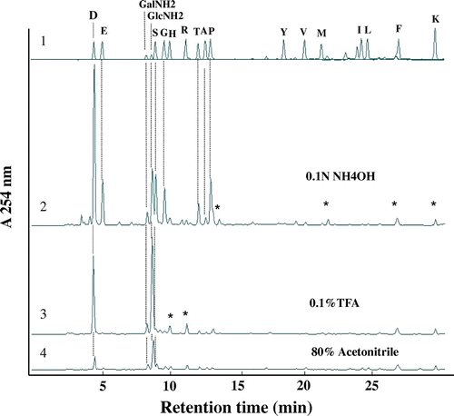 Fig. 1. Amino acid analysis of glycopeptides bearing the TF-antigen unit.Note: (1) Authentic amino acids and hexosamines (GlcNH2 and GalNH2); (2) hydrolysate of peptides recovered in the 0.1 N NH4OH fraction; (3) hydrolysate of glycopeptides recovered in the 0.1% TFA fraction; (4) hydrolysate of glycopeptides recovered in the 80% acetonitrile fraction. The amino acids and N-acetyl-hexosamines in the purified glycopeptides were analyzed as PITC-derivatives by reverse-phase HPLC after acid hydrolysis in 5.7 N HCl at 110 °C over 12 h. The column used was a Cosmosil 5C22-AR (0.46 × 25 cm). Several peaks, marked with asterisks, were not amino acids, but unknown derivatives produced during PITC labeling.