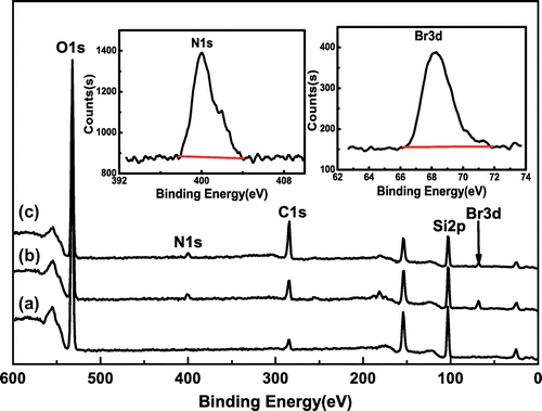 Figure 5. XPS spectra of (a) SiO2, (b) SiO2–Br, and (c) SiO2-g-P(SPMA-co-MAA).