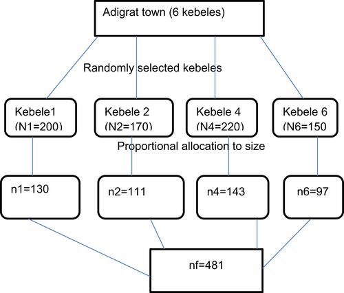 Figure 1 Schematic presentation of sampling procedure about early post natal care service utilization among mothers given birth in Adigrat town, Tigray, Ethiopia, 2018. To get the study participants, first 4 kebeles were selected by lottery method from the 6 kebeles in Adigrat town. The number of woman who gave birth in the past 12 months in each kebele were; kebele 01 (200), kebele 02 (170), kebele 04 (220), kebele06 (150). The total sample size of 481 was distributed proportionate allocation to size to each kebele. Finally, the participants were selected by simple random sampling.