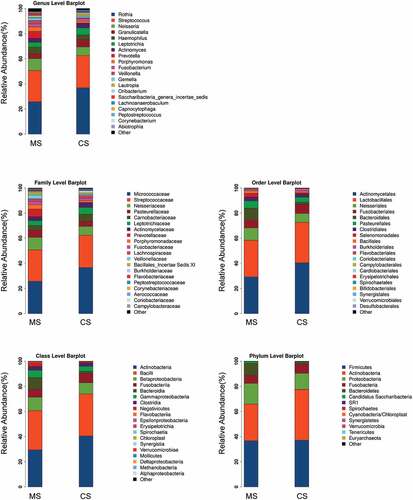 Figure 2. Relative abundances of the oral microbiota in migraine and control groups