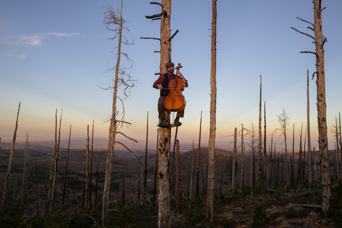 Northern Colorado near Rist Canyon in a space that was formerly devastated by forest fire; however, new growth signaled a rebirth.Photo by Ross Taylor