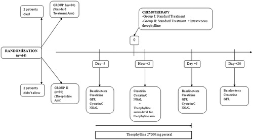 Figure 1. The study plan.