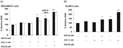 Figure 3. DIM in combination with DOC stimulates ROS production in DOC treated breast cancer cells. (A) MDA-MB231 and (B) SkBR3 cells were treated for 24 or 48 h with the indicated concentrations of DIM with or without 1 nM DOC and analyzed for DHR fluorescence by flow cytometer. Bars represent relative percentage of surviving cells in four independent experiments. p Values were determined using ANOVA. Bars with different symbols are significantly different (*, p < 0.05 vs. control, 25 µM DIM alone, and DOC alone; **, p < 0.05 vs. control, 25 µM DIM alone, DOC alone, 25 µM DIM plus DOC, and 50 µM DIM).