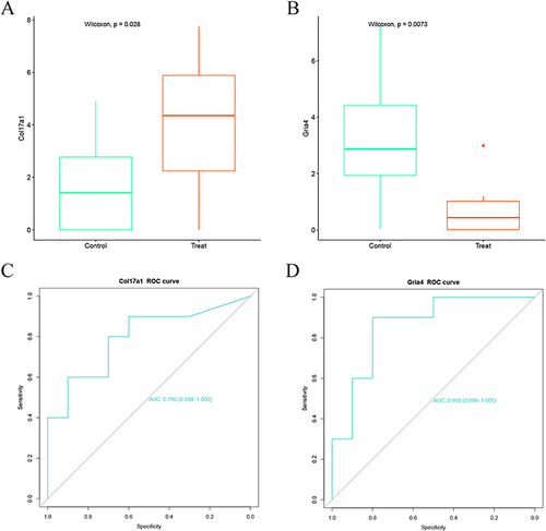 Figure 10 Gene expression level analysis and ROC analysis of Col17a1 and Gria4. (A and B) Boxplot showing the expression of Col17a1 and Gria4 in the treatment group vs the control group. (C and D) ROC curve of Col17a1 and Gria4.