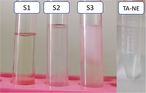 Figure 3 S1, S2 and S3 represent three prepared plain NE formulae. S1 represents the most stable formula as it showed clear transparent formula without any aggregations; S2 and S3 represent unstable formulae as they showed aggregations, phase separations and coagulations; TA-NE formula represents the prepared formula after a year of preparation showing a clear transparent formula.