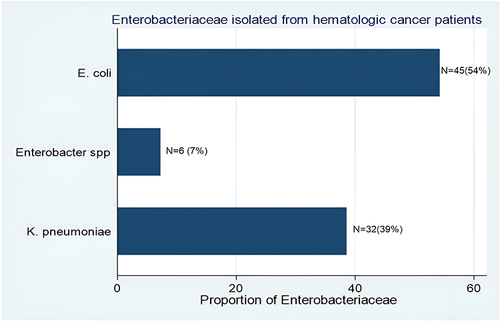 Figure 2 Proportion of Enterobacteriaceae isolated from hematologic cancer patients.