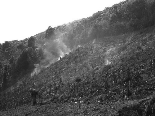 Figure 8. Smoke rising from a charred steep-slope swidden (May 2014).