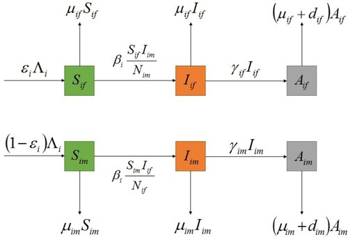 Figure 1. The flow diagram of HIV/AIDS transmission in patch i.