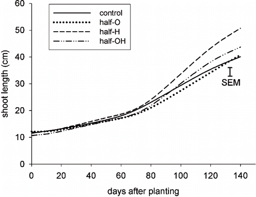 FIGURE 2. Total shoots length (primary + laterals) of plants in pots with a half-pot distribution. The treatments were: Control, Olive husks (half-O), Hay (half-H), Olive husks and Hay (half-OH). The bar indicates standard error of the mean (SEM; n = 64) of all treatments values recorded at the end of the experiment.