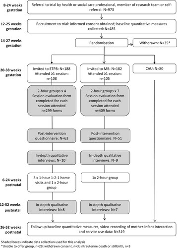 Figure 2. Study flowchart.