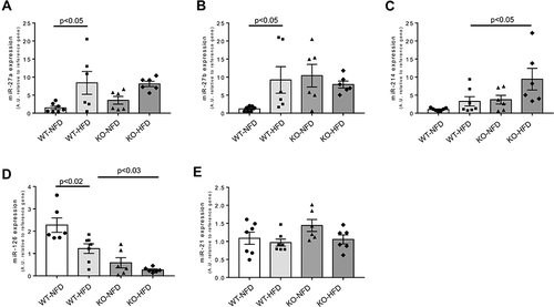 Figure 9 Heart miRNA expression observed in wild-type mice treated with normal (WT-NFD) or high (WT-HFD) fat diet, or P2X7 receptor knockout mice treated with normal (KO-NFD) or high fat diet (KO-HFD). miR-27a (A), miR-27b (B), miR-214 (C), miR-126 (D), miR-21 (E) are shown. Relative miRNA expression was calculated by the 2−ΔΔCt method, using the reference miR-16-5p and miR-191-5p for normalization. Results are reported as arbitrary units (A.U.). Data are presented as mean values ±SE for at least six animals in each group. Two-way ANOVA with genotype and diet as sources of variation, followed by Tukey’s post-hoc test, was used for multiple comparisons. Statistical significance was set at p < 0.05. ● WT-NFD, ■ WT-HFD, ▲ KO-NFD, ◆ KO-HFD.