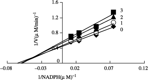 Figure 9 Lineweaver-Burk plot of the inhibition of β-ketoacyl reduction reaction of FAS by Extr. The fixed concentration of ethyl acetoacetate is 40 mM. The concentration of Extr in the reaction system was 0(0), 0. 25 μg/mL (1), 0.5 μg/mL (2), and 1.0 μg/mL (3). The FAS concentration was 0.012 μM, and the fixed concentrations of Acetyl-CoA and Malonyl-CoA were 2.5 and 10 μM, respectively. The reaction rate was expressed by the consumed concentration of NADPH per min in the ketoacyl reduction reaction.