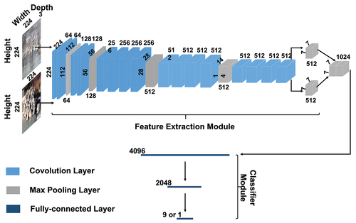 Figure 5. Set-up of the model used in this study. The model is composed of two parts: the feature extraction module and classifier module. The initial photo with the virtual staff gauge and the photo taken at the same spot at a later time go through the feature extraction module separately. The extracted features are subsequently concatenated and processed in the second module to accomplish the classification or regression task. The feature extraction module follows the VGG 19 model and is constructed by stacking multiple convolution layers and max pooling layers. The classifier module mainly depends on a series of fully-connected layers. The ReLU function was used after each convolution layer. The height, width and channel number of the input images and vectors in each step are indicated in the figure.