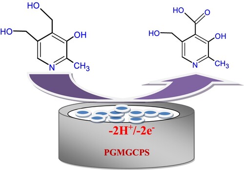 Scheme 2. Oxidation of PYX on the PGMGCPS surface.