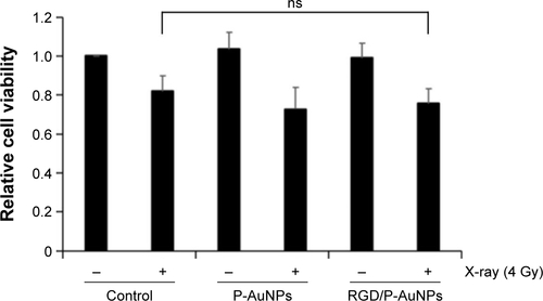 Figure S3 Radiosensitivity of SK-BR-3 cells treated with RGD/P-AuNPs.Notes: Cell viability was quantified by counting of SK-BR-3 cells pre-cultured with AuNPs before radiation treatment. Columns, mean (n=3), bars, SE.Abbreviations: RGD/P-AuNP, polyethylene-glycolylated gold nanoparticle (P-AuNP) conjugated with Arg–Gly–Asp (RGD) peptides; SE, standard error; ns, not significant.