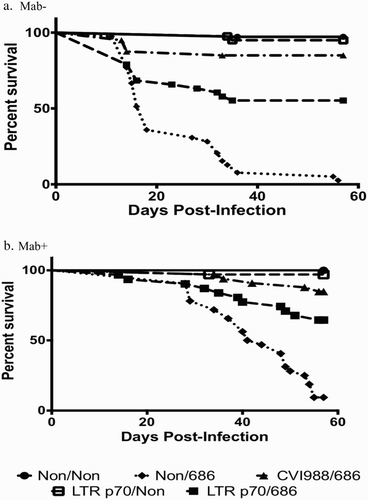 Figure 6. Survival curves of in ovo vaccinated chickens. (a) Survival curve for Mab− chickens vaccinated in ovo at 18 days of embryonation. (b) Survival curve for Mab+ chickens vaccinated in ovo at 18 days of embryonation.